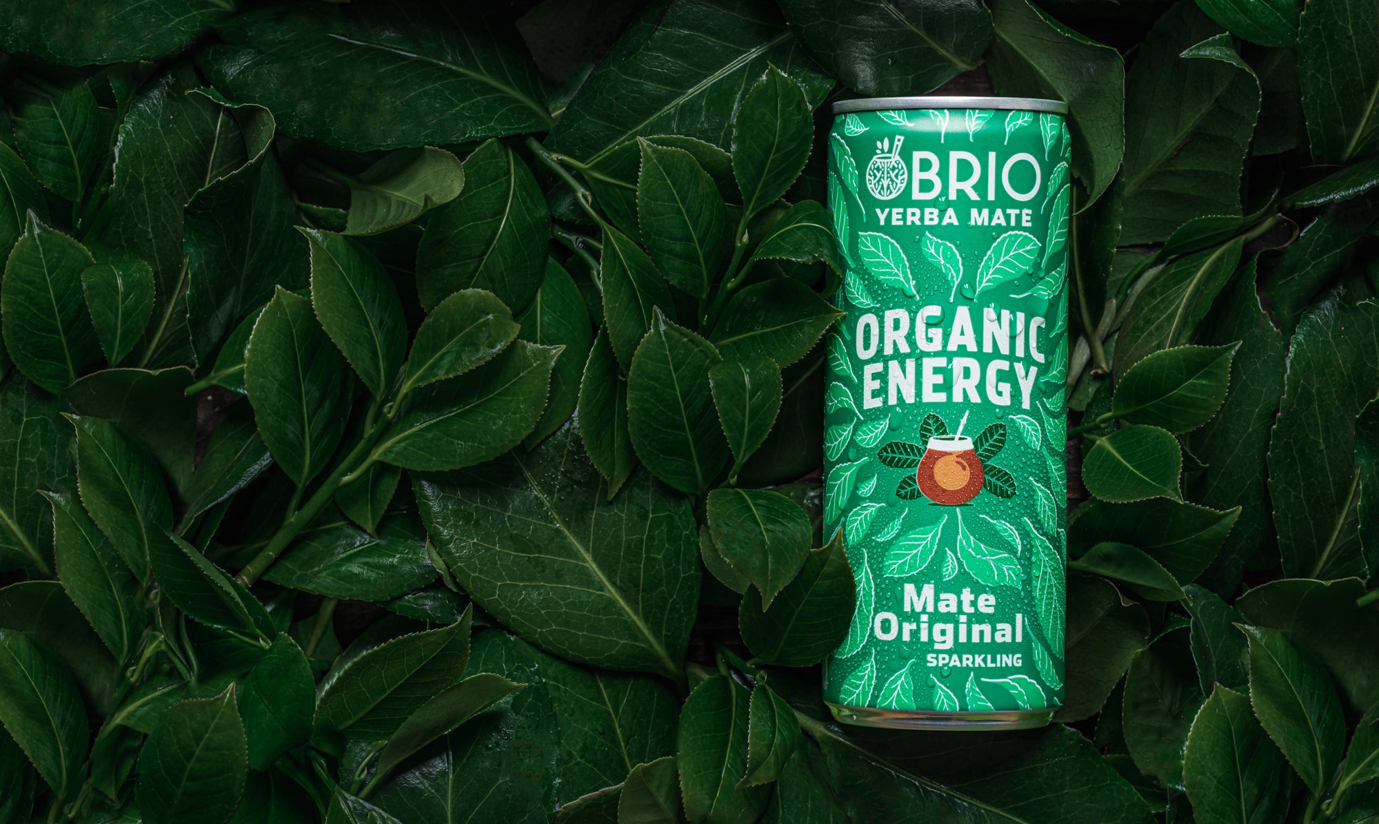 Brio Maté Energy Drink Naturel Bio canette 250ml feuilles yerbamaté original landscape