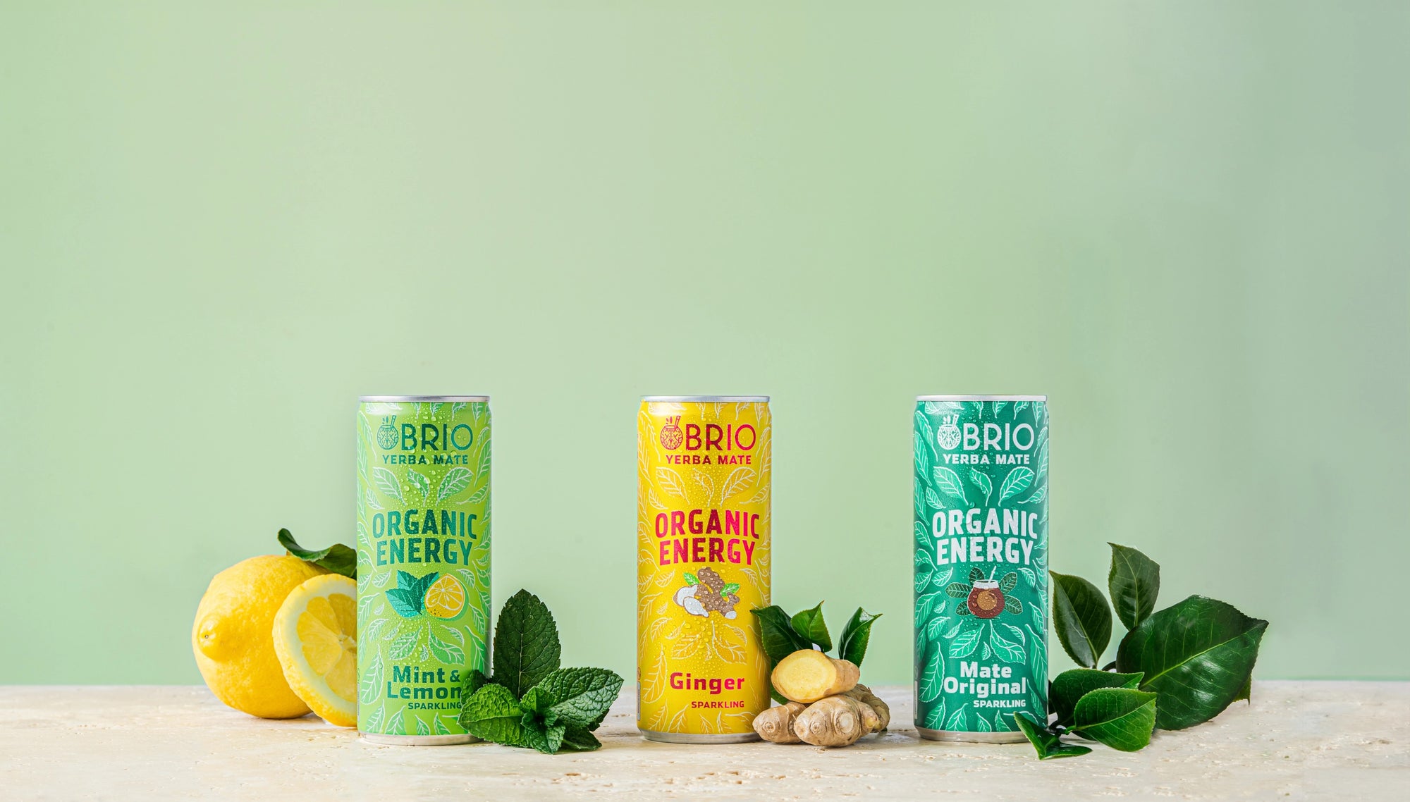 Brio Maté Energy Drink Naturel Bio canette 250ml discovery pack
