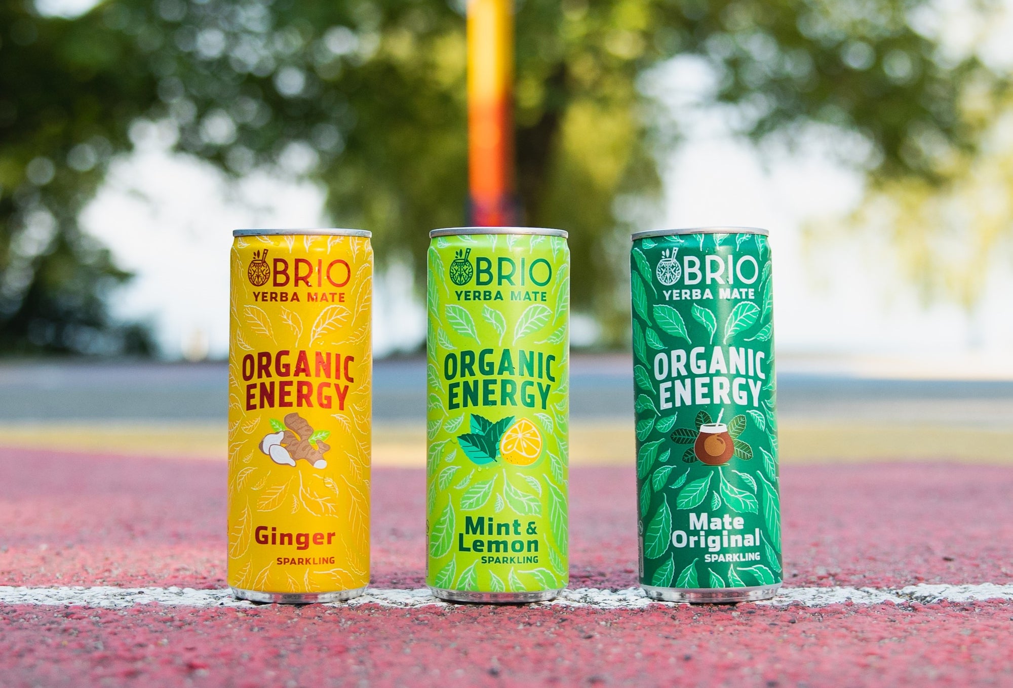 Brio Maté Energy Drink Naturel Bio canette 250ml sport basket