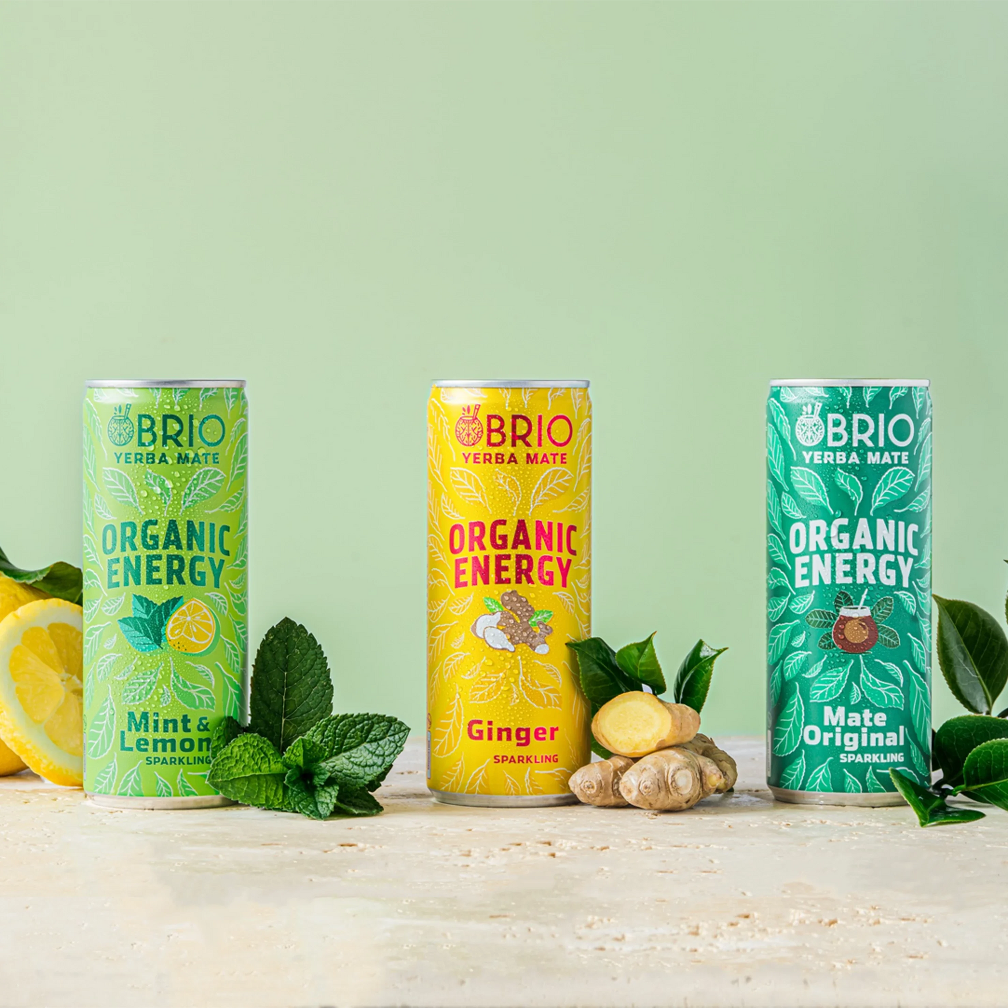 Brio Maté Energy Drink Naturel Bio Familypack zoomed