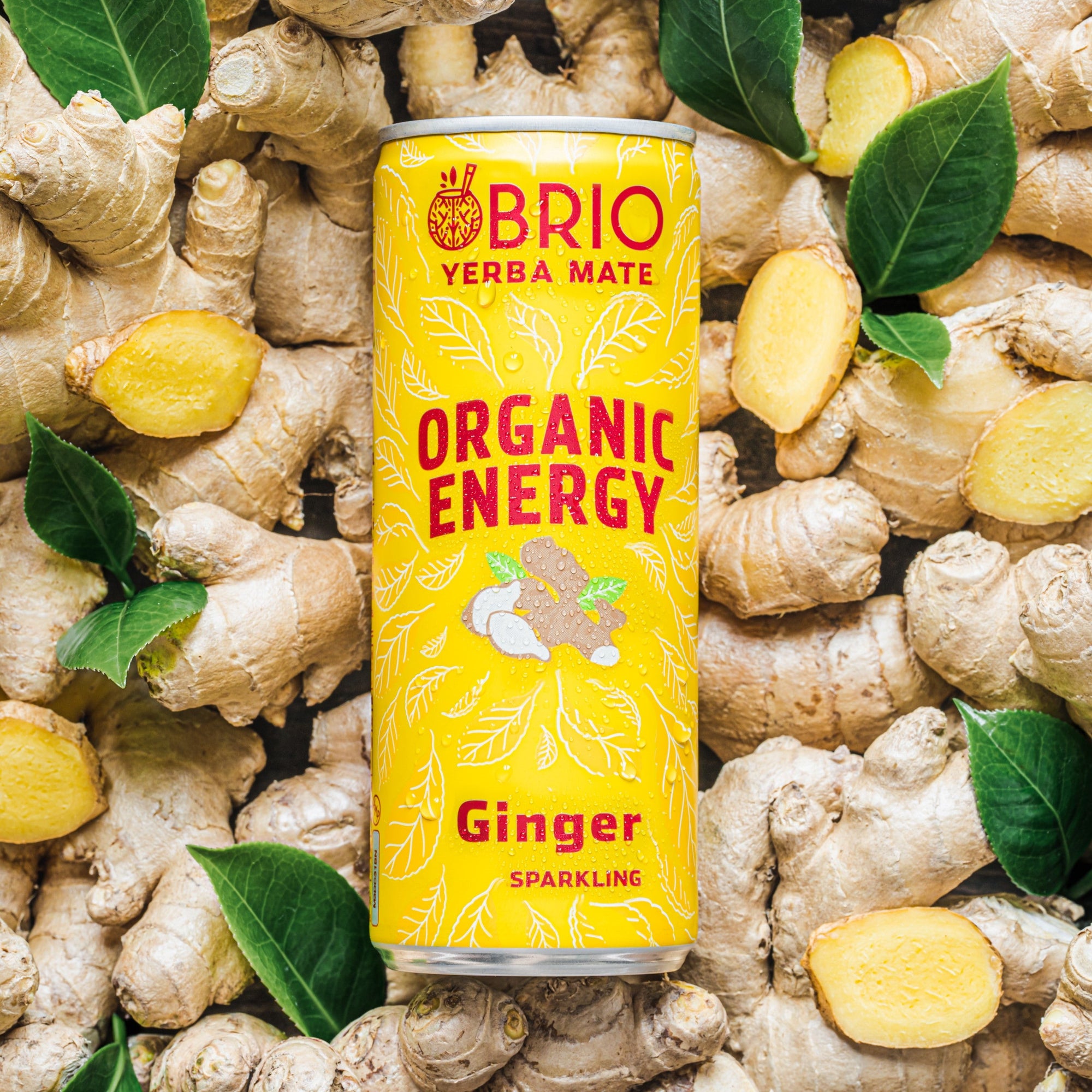 Brio Maté Energy Drink Naturel Bio Fond Gingembre Canette 250ml